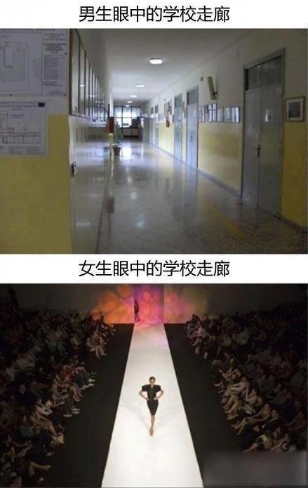 男生和女生眼中學校走廊的差別！