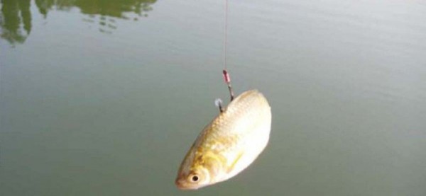 一位經常釣魚的人的親身恐怖經歷！看完你還敢去釣魚嗎！？