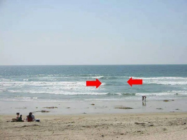 去海邊玩看到斷層的海潮，立即上岸！很多人因為這個失去了生命！