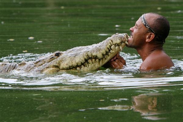 奄奄一息的鱷魚給一個男子救治，隔天鱷魚登門拜訪！接下來20年這隻鱷魚做的事簡直不可思議...